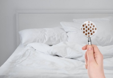 مكافحة البق