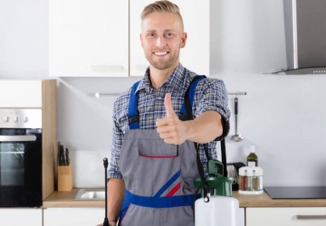 ابادة السوس