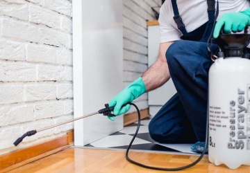 مكافحة البراغيث